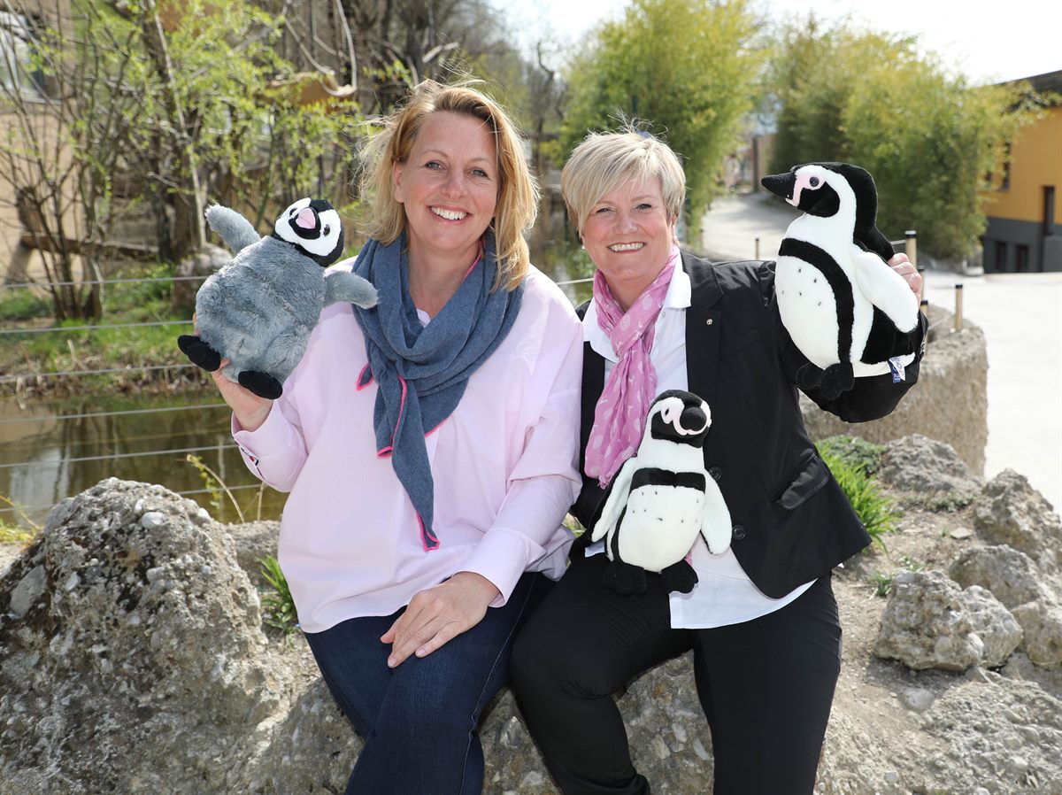 SPAR_Patenschaft_Zoo_Pinguine