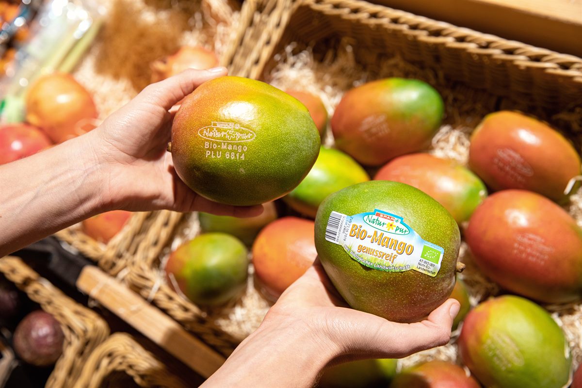 SPAR_Laser-Mango_vorher-nachher