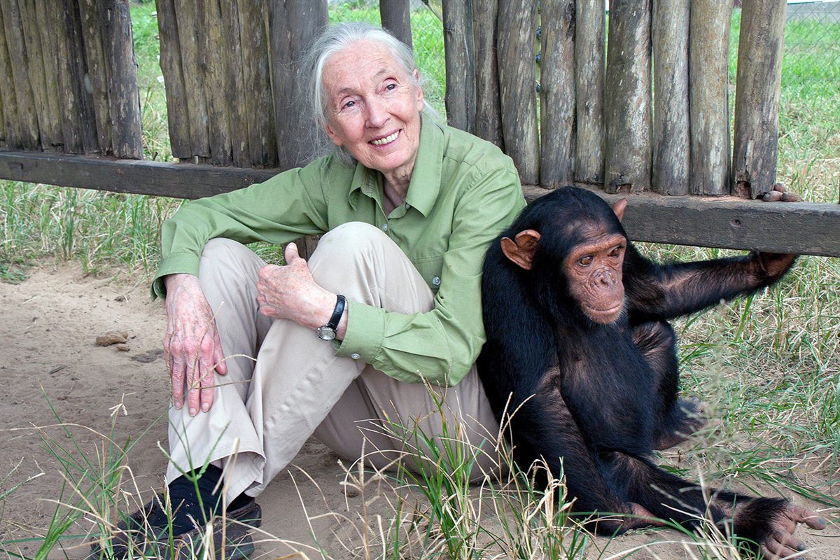 Dr._Jane_Goodall_