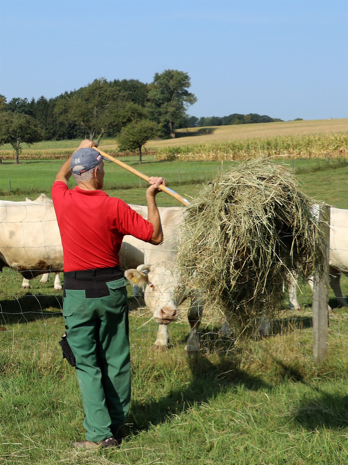 Kleinbetriebe liefern an SPAR