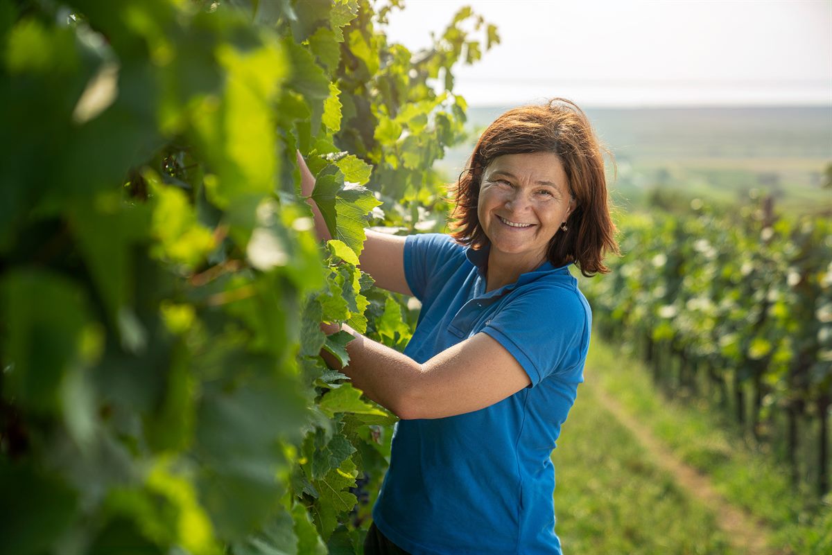 Weingut Birgit Braunstein