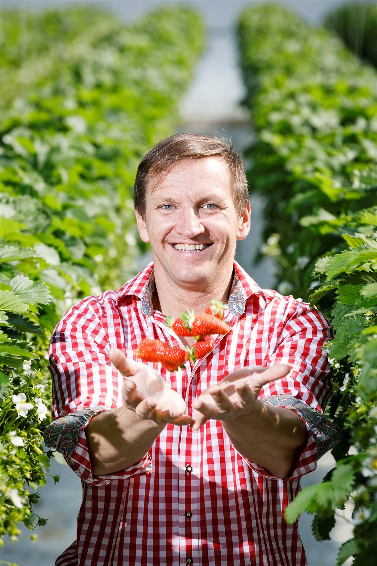 Steirische_Erdbeeren