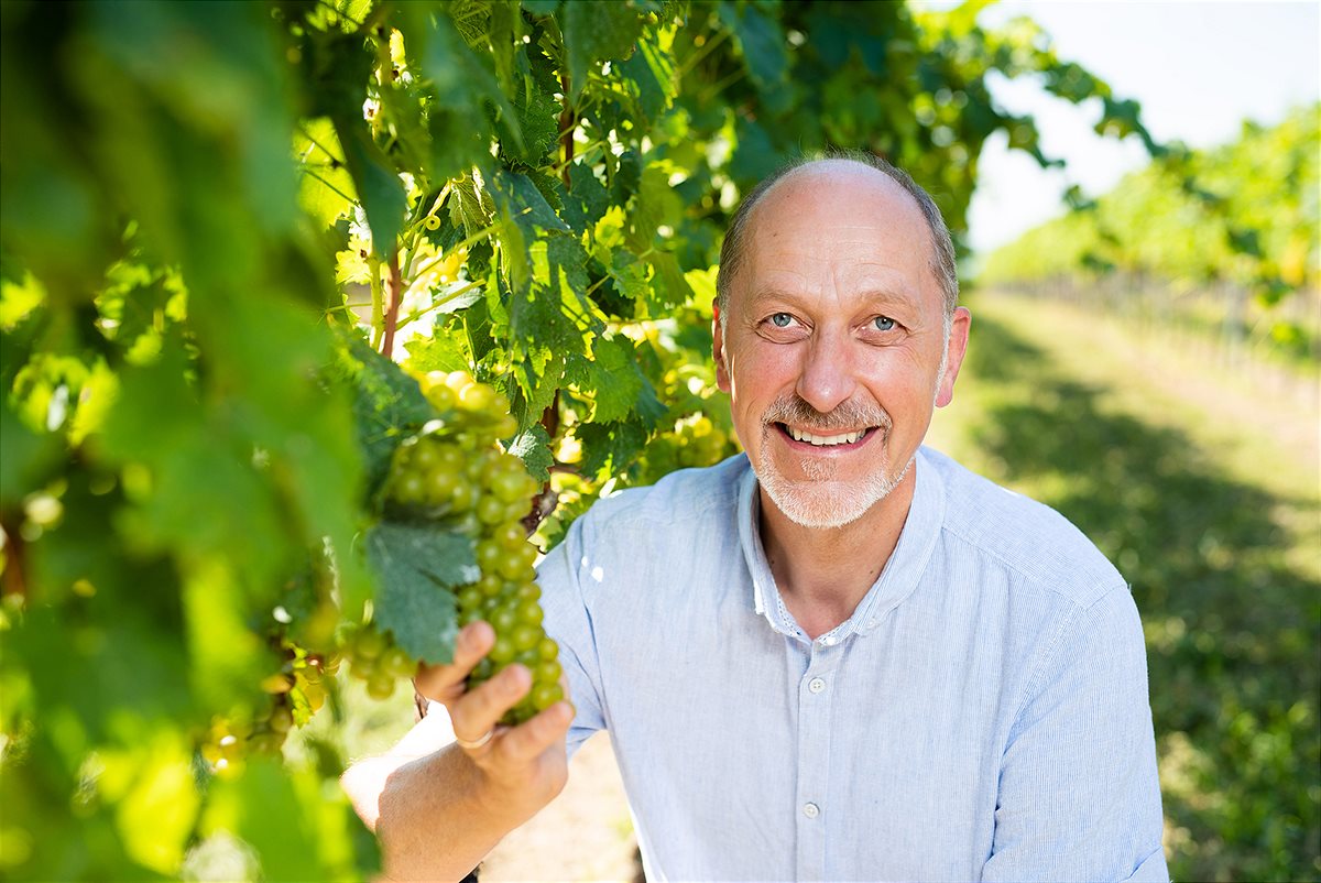Klaus_Klein_Weingut_Schloss_Fels©oswald