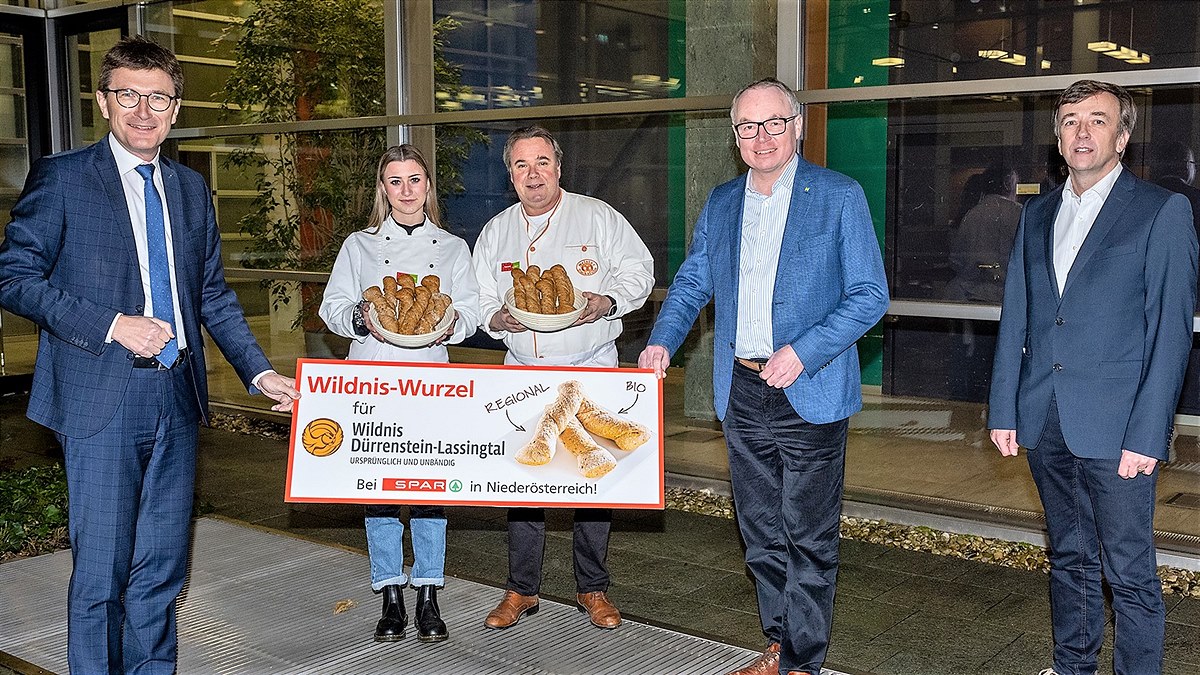 Präsentation Wildnis Wurzel 
