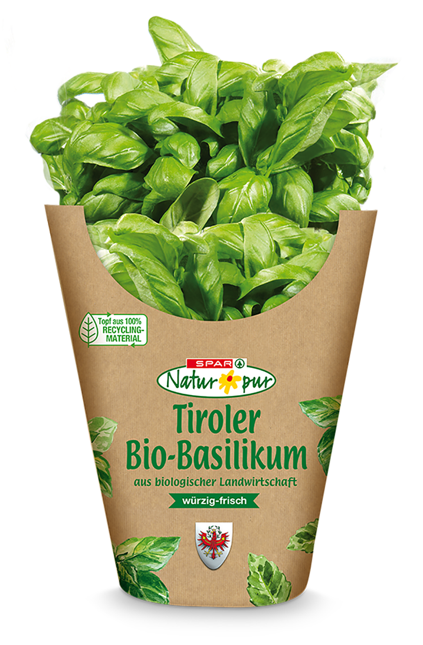 SNP Bio-Topfkräuter Tirol Basilikum