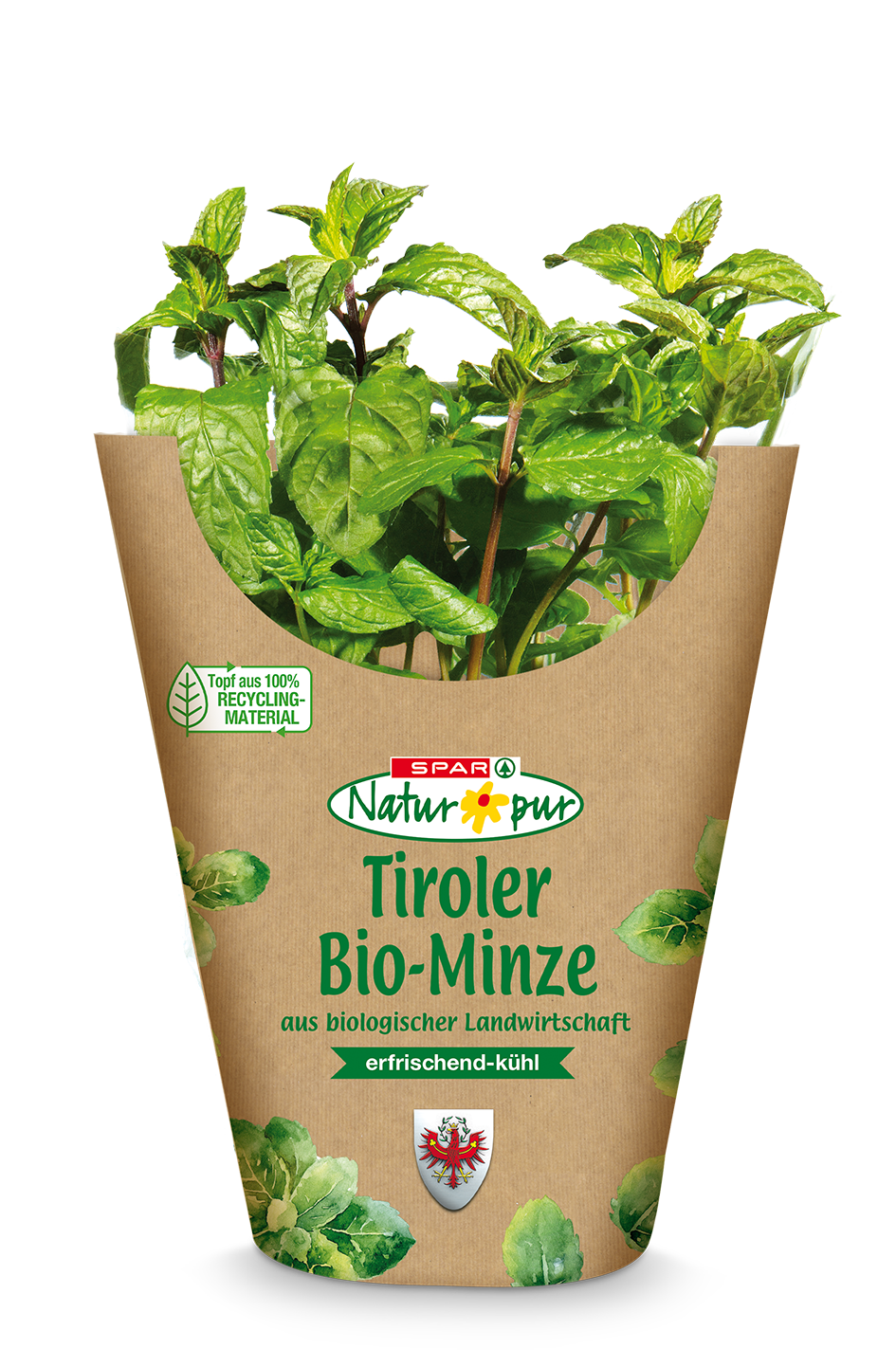SNP Bio-Topfkräuter Tirol Minze