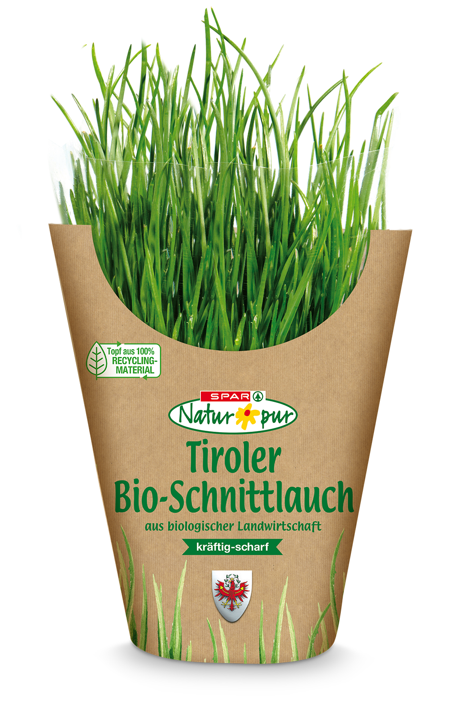 SNP Bio-Topfkräuter Tirol Schnittlauch