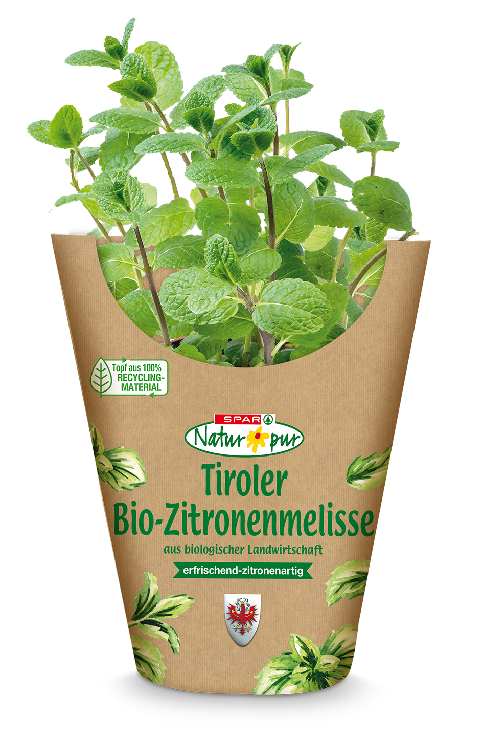 SNP Bio-Topfkräuter Tirol Zitronenmelisse