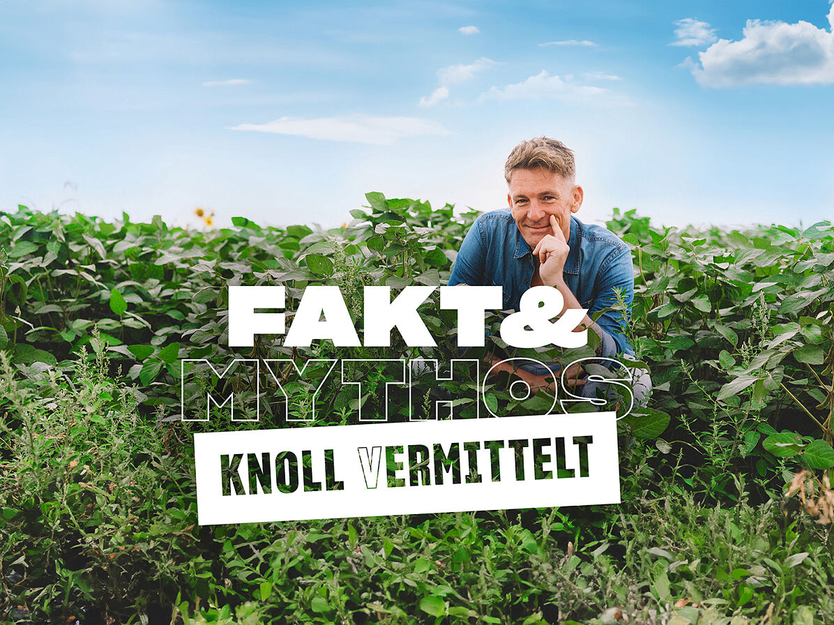 SPAR_Knoll (v)ermittelt_Bild 1