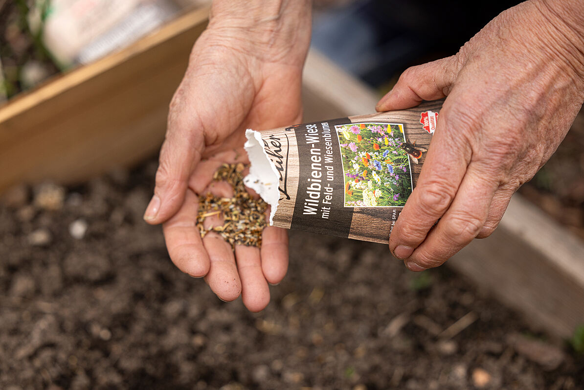 SPAR wie früher Wildbienen-Wiesen-Saatgut 